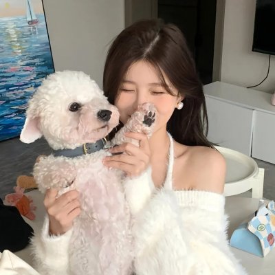 鲨海